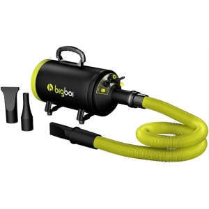 BigBoi BlowR Mini Car Dryer – mała dmuchawa do bezdotykowego osuszania auta